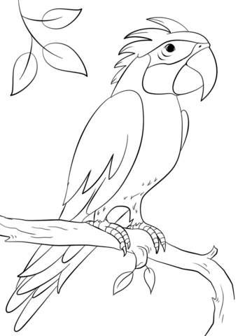 Parrot Perching On Branch Coloring Page